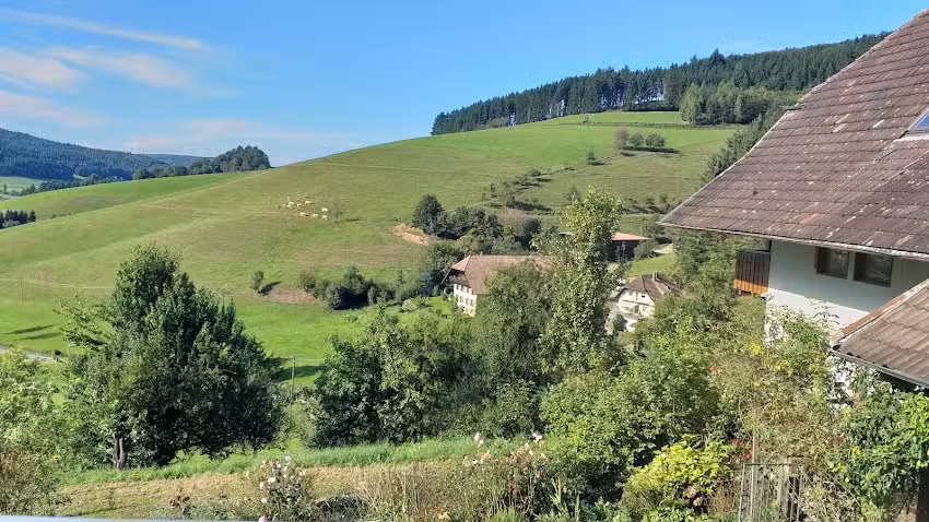 Schw&ouml;rerhof Schuttertal &ndash; Laulisgraben Hideaway