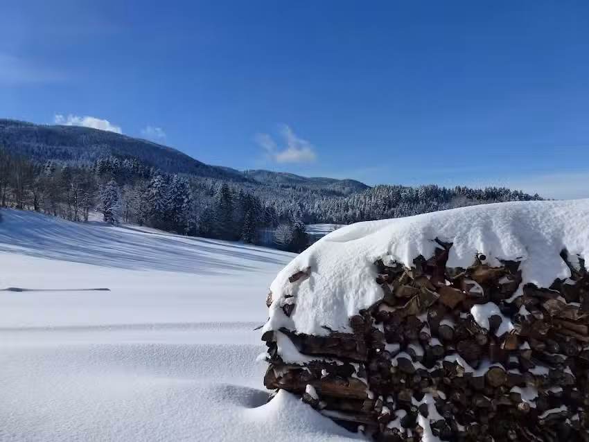 SeidlHof Hausham