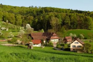 Sesterhof Ferienwohnungen