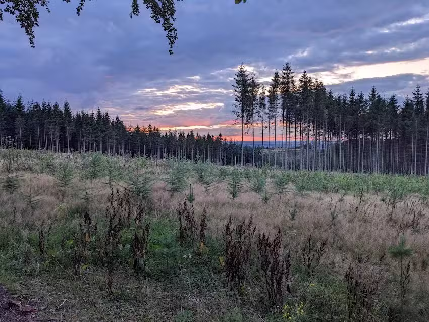 SGV Schutzh&uuml;tte