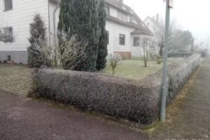 Siegelsbach