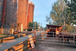 Six Tower Ranch