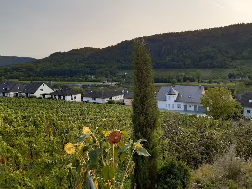 SonnenHof