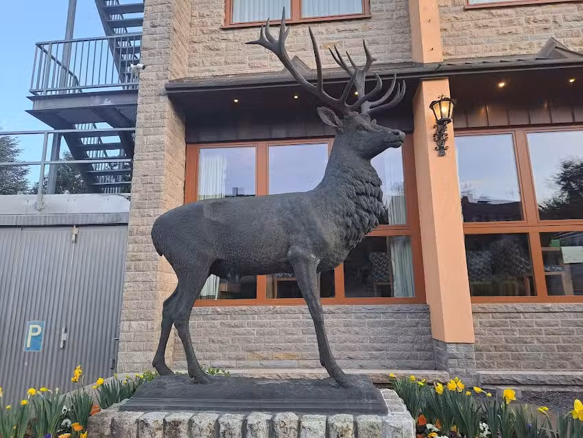 Spesssart-Lodge