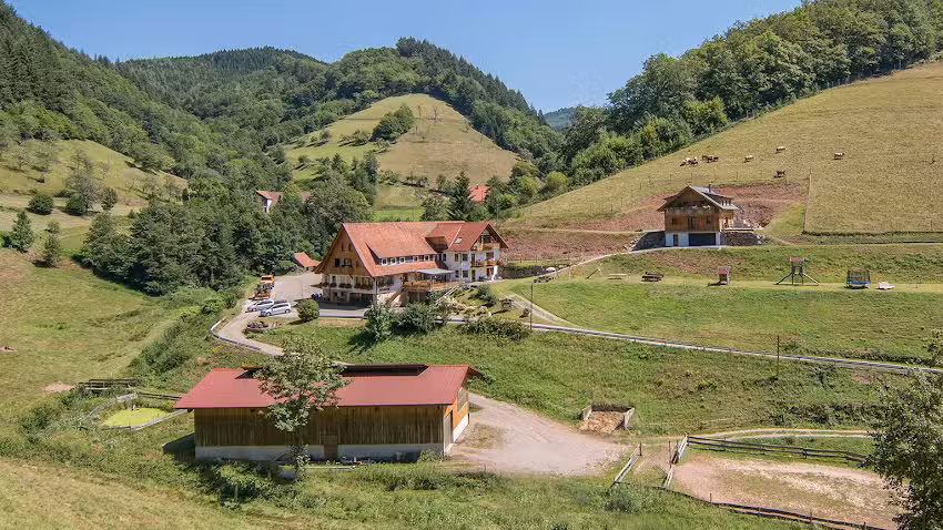 Springhansenhof