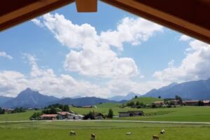 Steinachers Bergblick