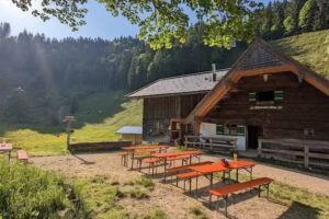 Steiner Alm