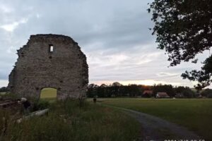 Steinlein