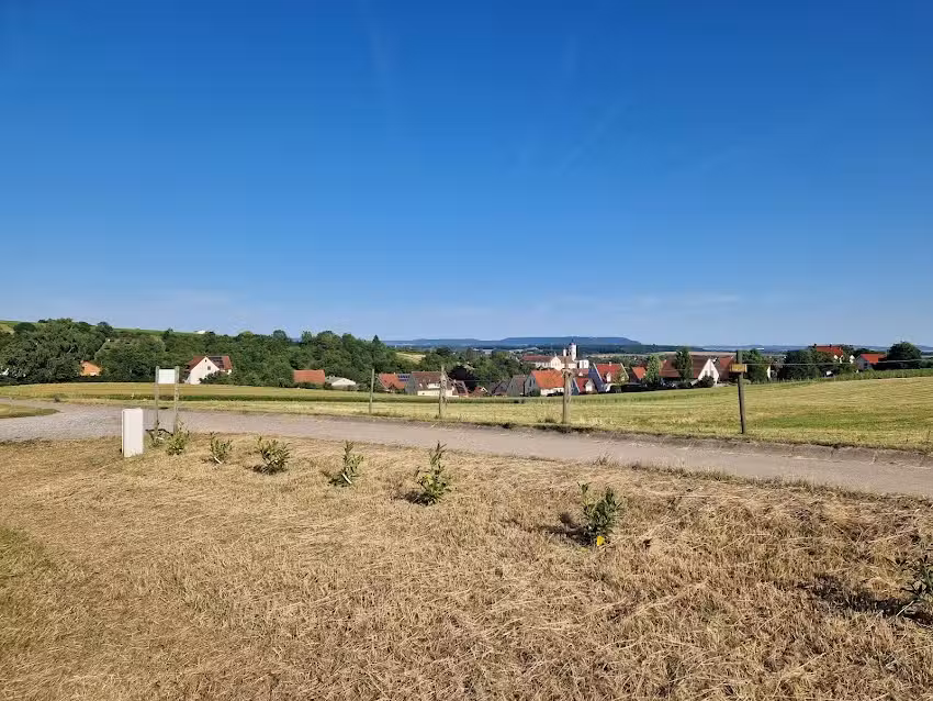 &bdquo;Stellplatz am Sch&auml;fig&ldquo; &ndash; Weingut Knauer