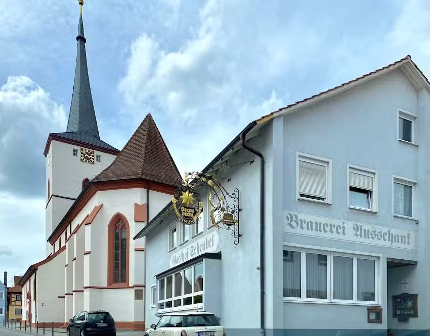 Sternbr&auml;u G&uuml;nter Scheubel