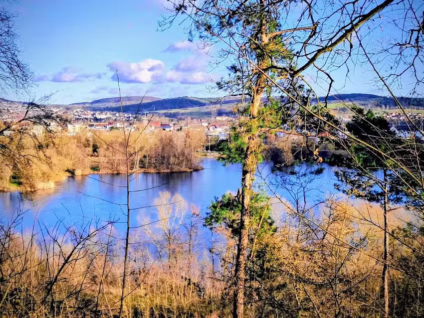 Storchennest Machtlos