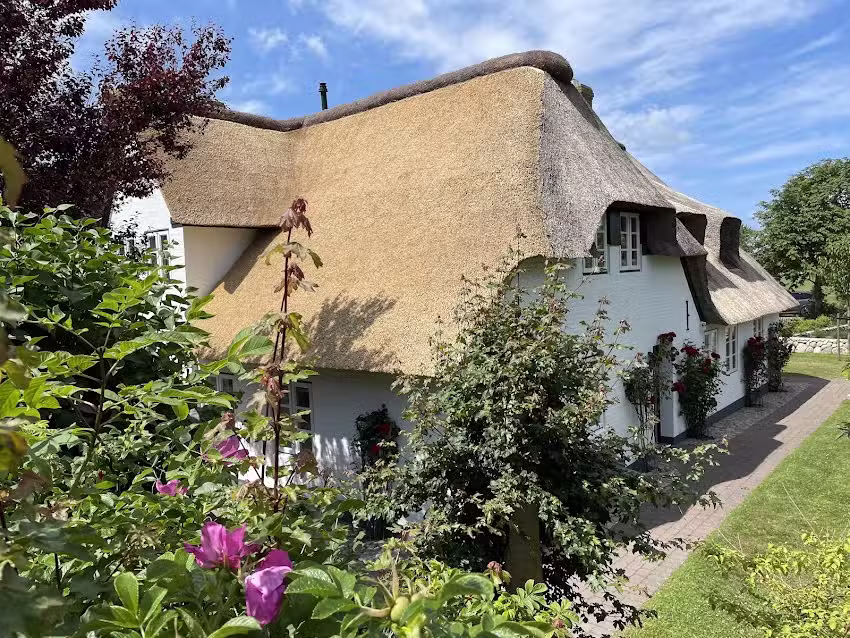 Stricker’s Reethaus