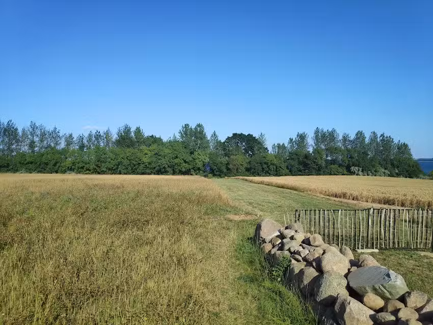 Tarnewitzer Camp &ndash; Andreas Crusius