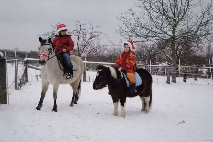 Taunus &ndash; Reitanlage