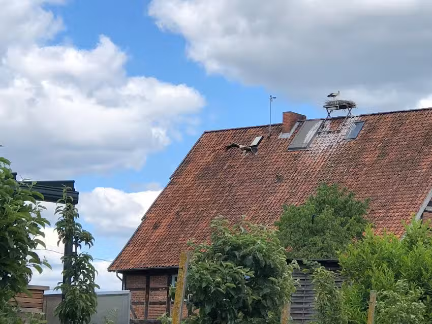 Tepe&rsquo;s Gasthof