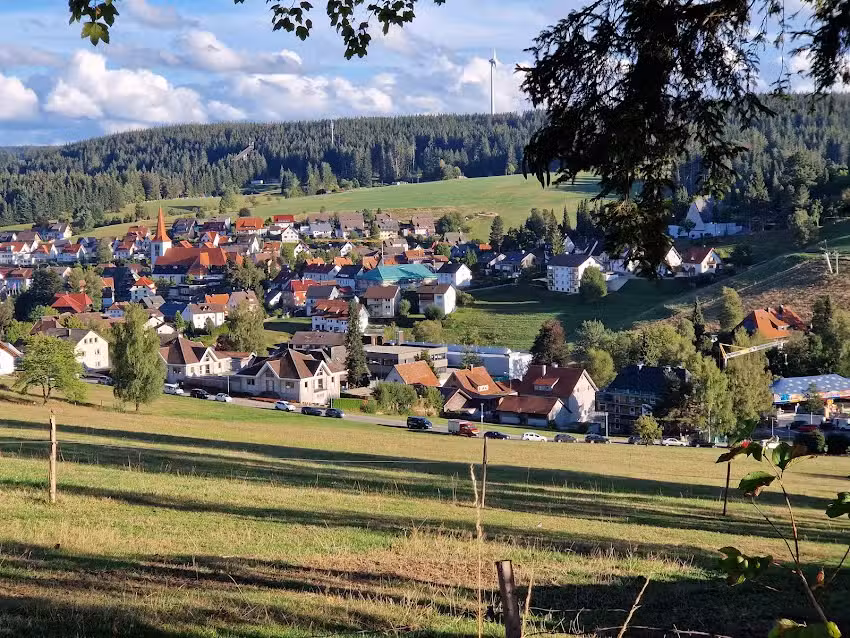 Terrassenpark Schonach