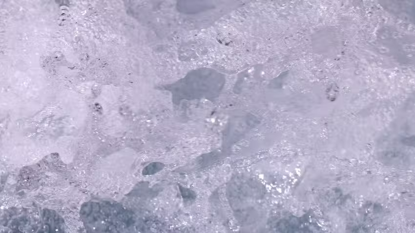 Textilpflege Epple GmbH