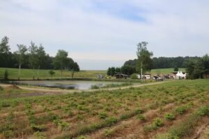 Th&uuml;ringer Tannenhof Plantage | Campingplatz