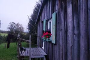 Tiny House Schlitten