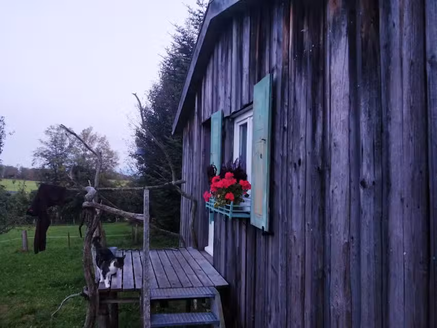 Tiny House Schlitten