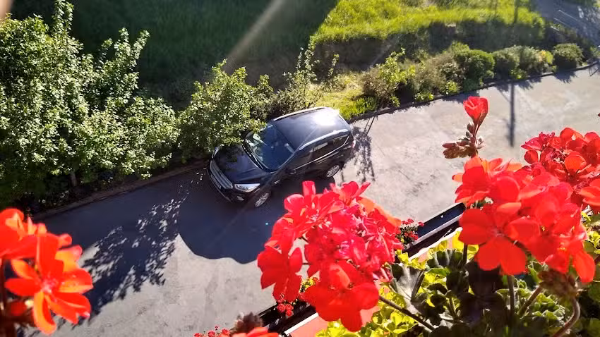 Traudel Sch&ouml;bel