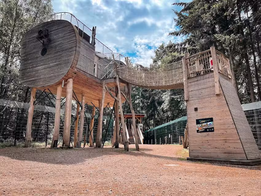 Tree Inn &ndash; Das Baumhaushotel