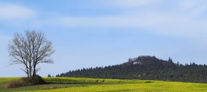 Urlaub auf dem Firstenhof