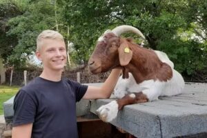 Urlaub auf dem Tjarkshof