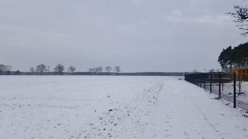 Urlaub im Schwanennest