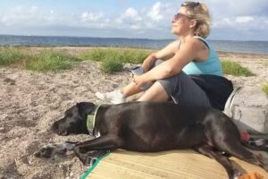 Urlaub mit Hund am Strelasund &ndash; Antje Kretschmann