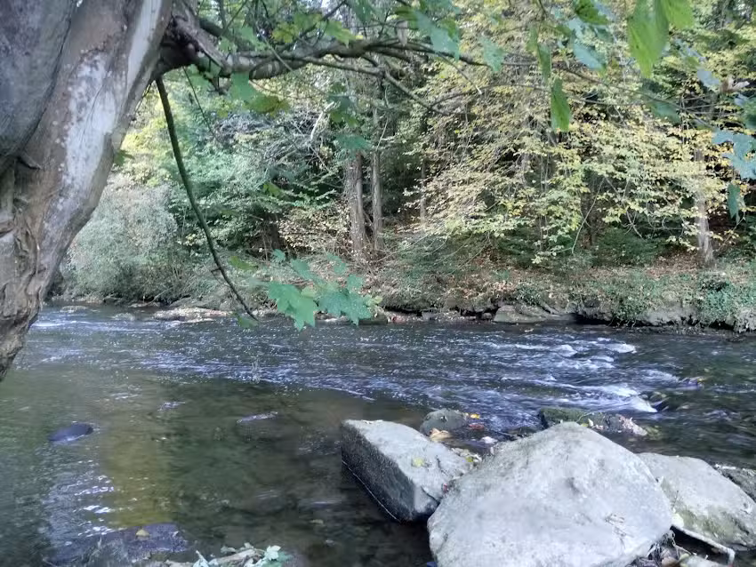 Ursula & Kevin Waters