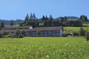 Uwes ferienwohnung