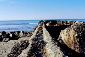 Vermietservice Trost