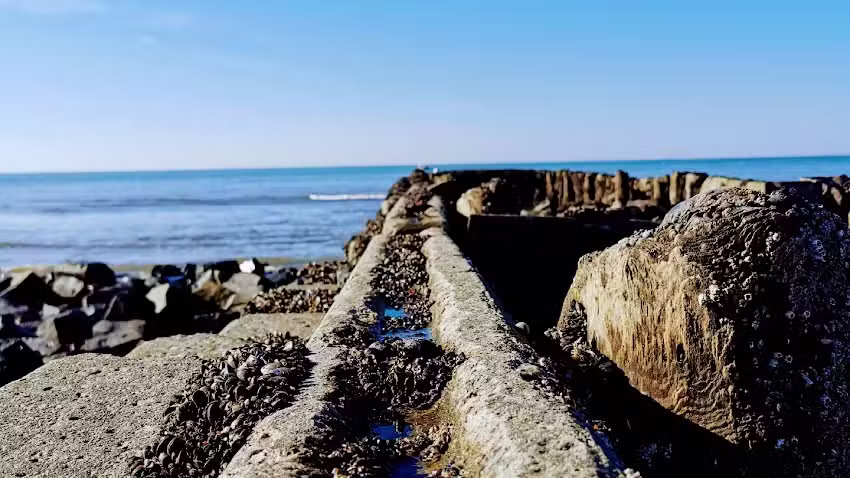 Vermietservice Trost