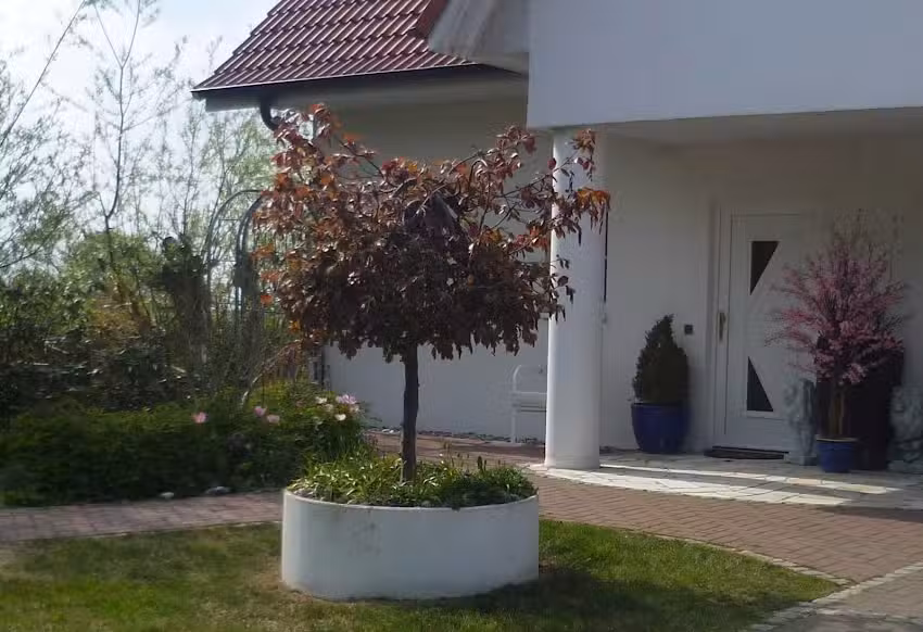 Vermietung Sch&auml;fer