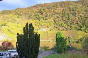 Villa Moselle
