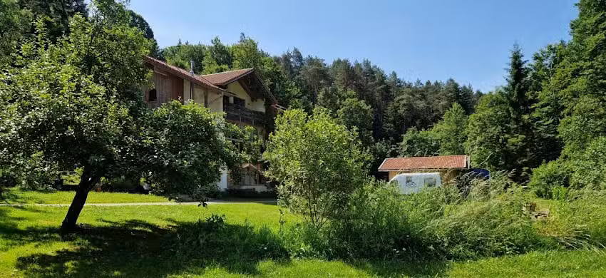 Waldbach-Oase