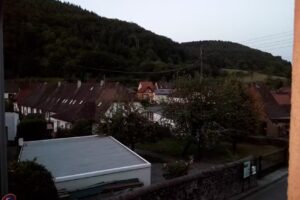 Waldblick