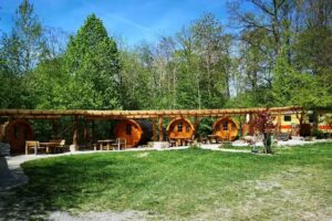 Waldcamping Hollenbacher See &ndash; Wachter KG