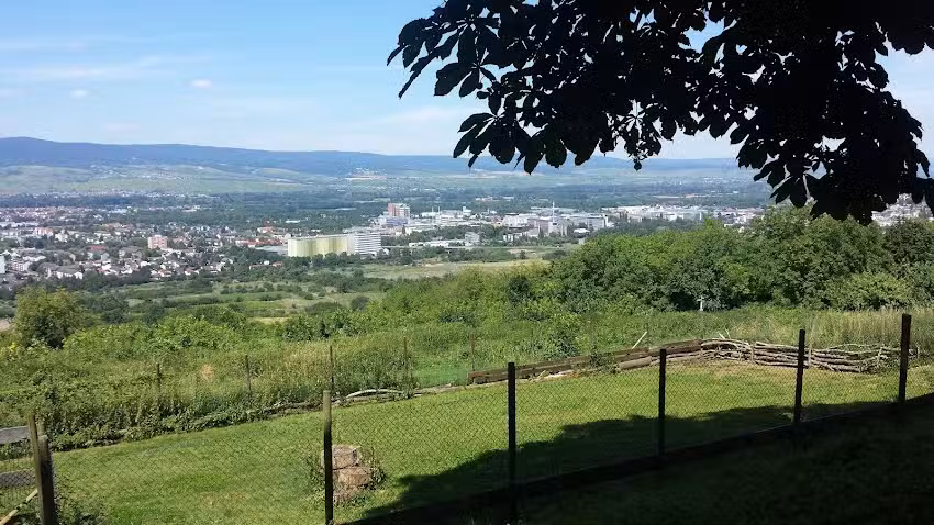 Waldeck bei Toni