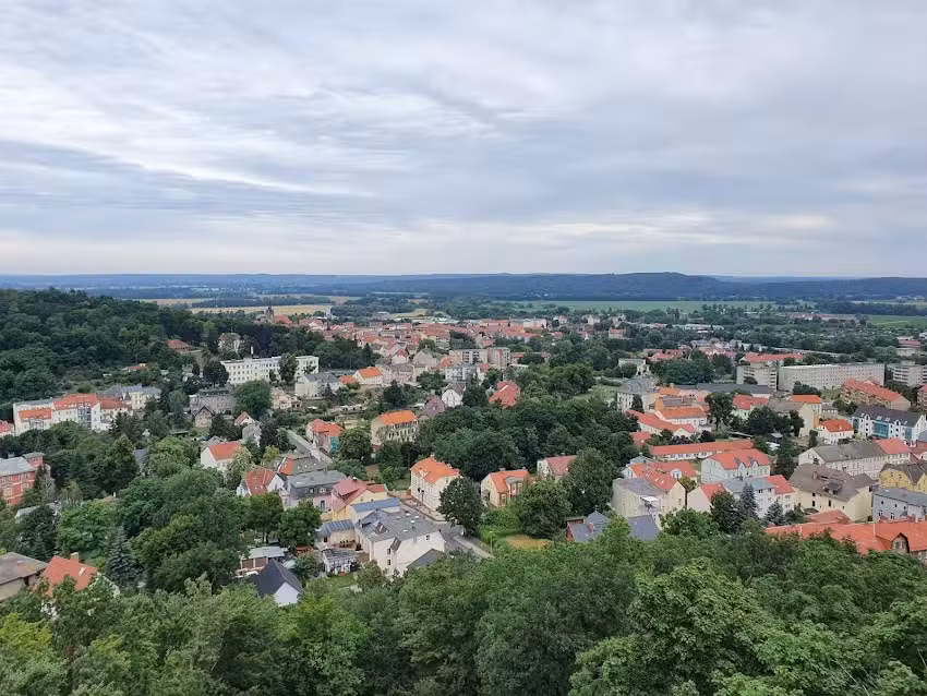 Waldh&ouml;he