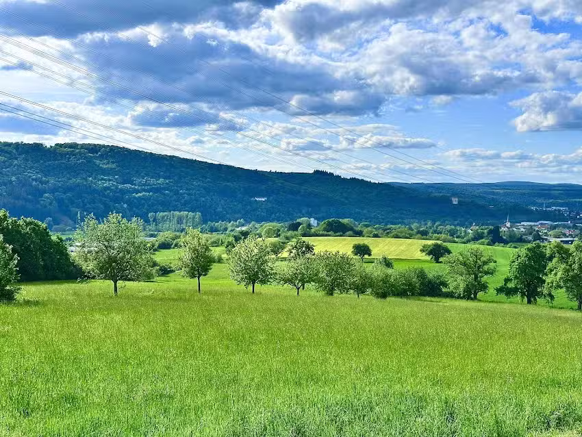 Waldh&uuml;tte Neckarelz