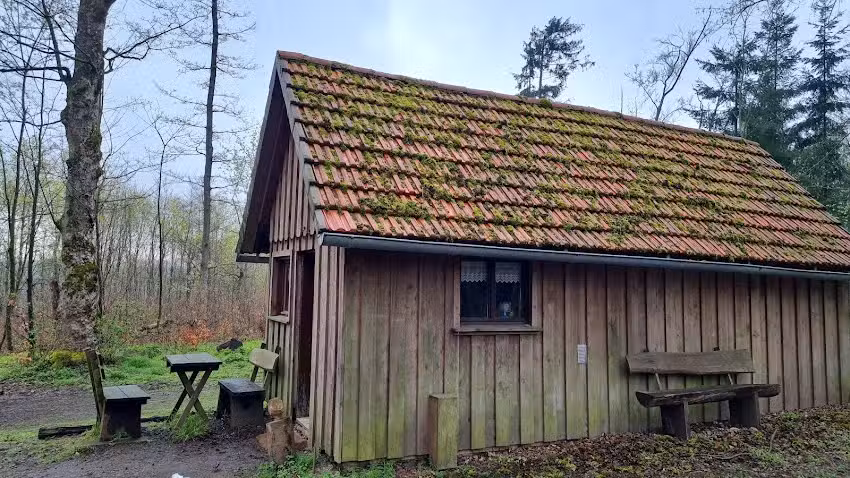 Waldh&uuml;tte Schwungstein