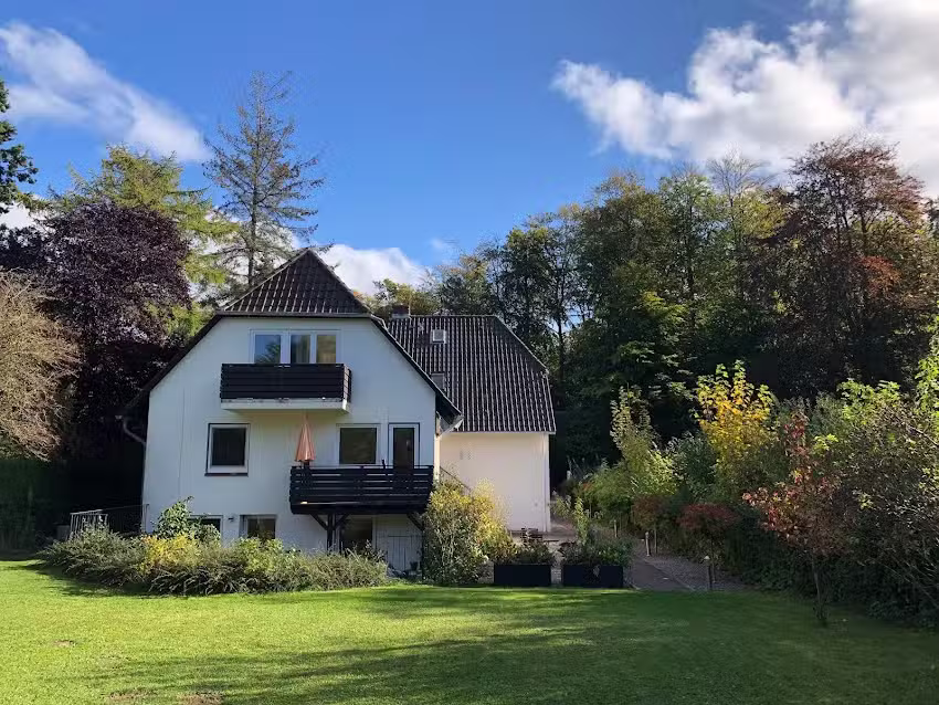 Waldkauz Hochwacht