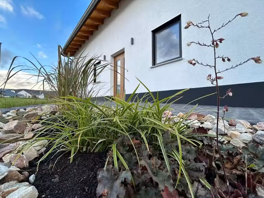 Waldside Hunsr&uuml;ck