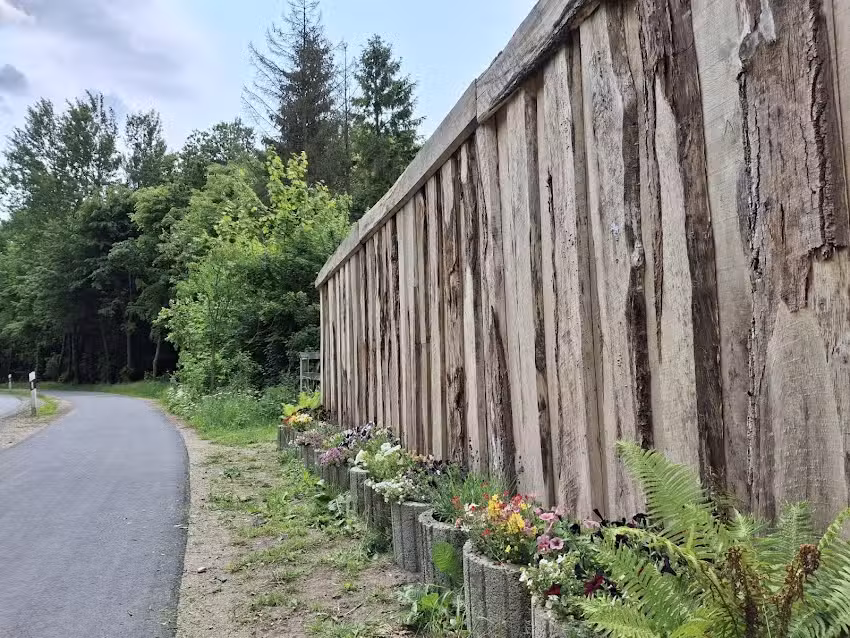 Walls1