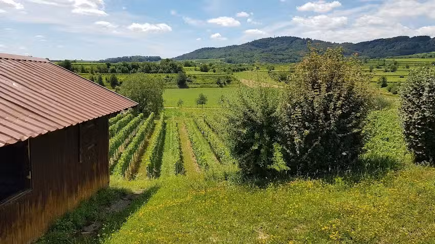 Wanderhütte „Gutensberg“