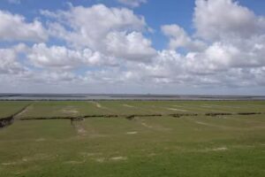 WATT&rsquo;N MEER
