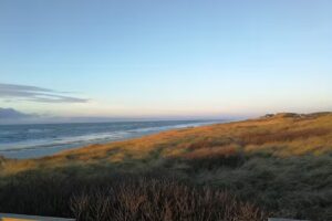 Wattkieker ( Sylt-Traum)
