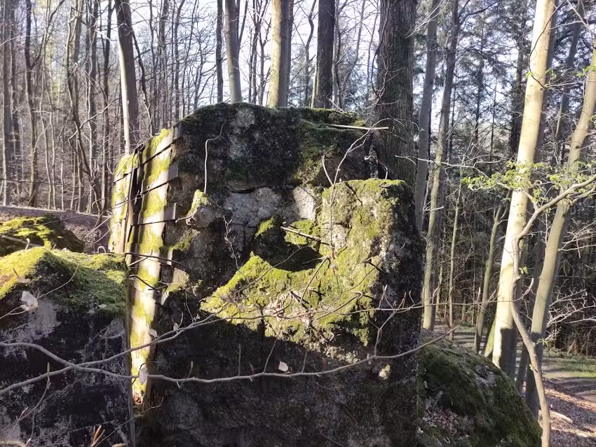 Weidenbergh&uuml;tte